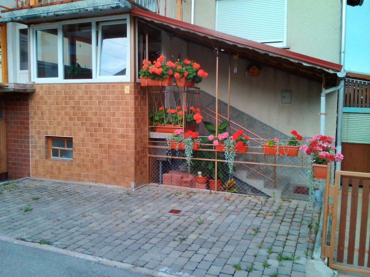 Vojnik Apartment Janja מראה חיצוני תמונה