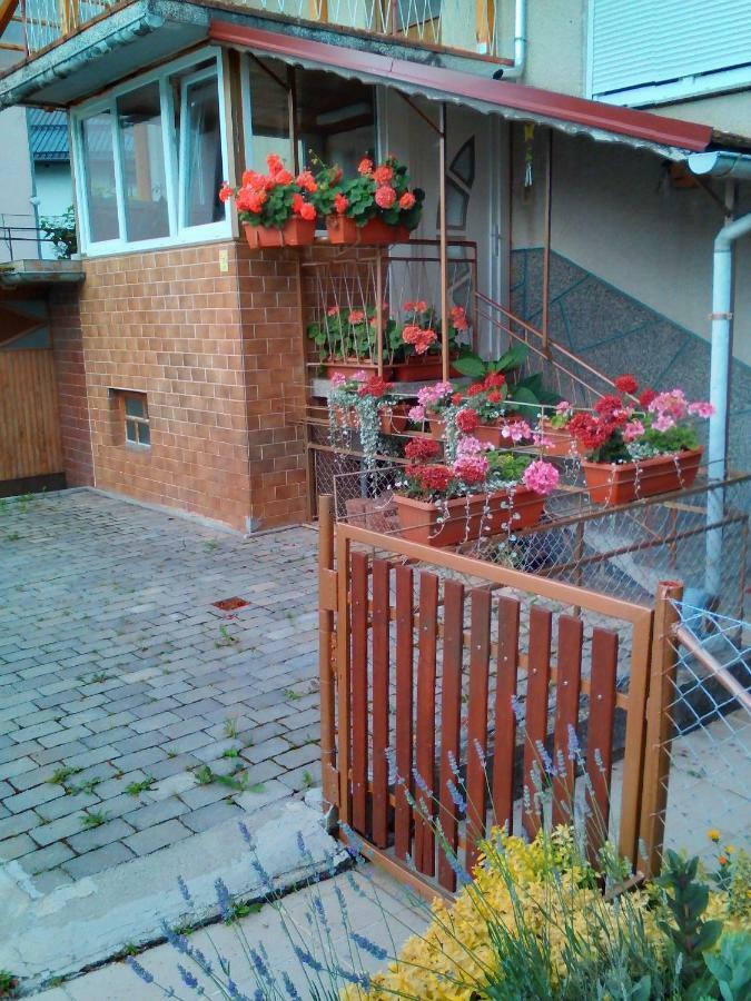 Vojnik Apartment Janja מראה חיצוני תמונה