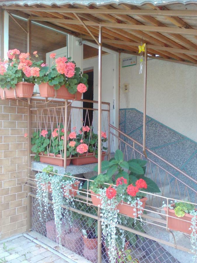 Vojnik Apartment Janja מראה חיצוני תמונה